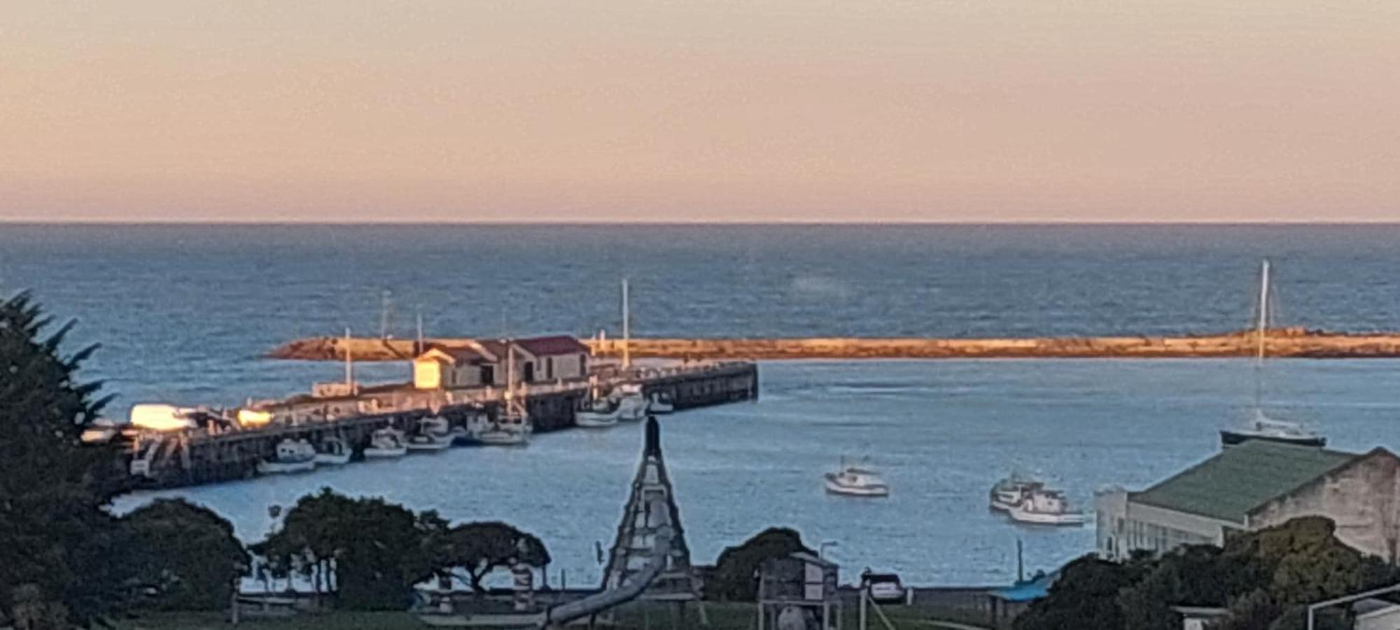 Oamaru Pink Cottage מראה חיצוני תמונה